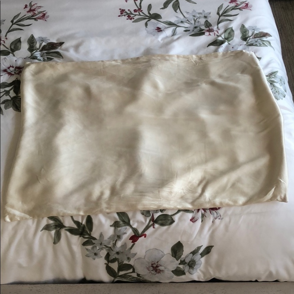 🍉$5 Alaska bear 100% silk pillowcase